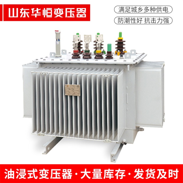 S13-10000/35海南藏族海南藏族海南藏族电力变压器